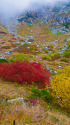 秋色の千畳敷カール
