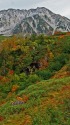 秋模様の立山