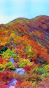 仙人山付近の紅葉