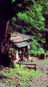 岩魚止小屋～1974年