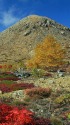 白根山の紅葉