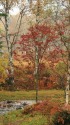 紅葉の乗鞍一の瀬園地