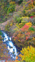 華厳の滝 下流の紅葉