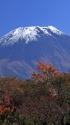 朝霧高原で見る富士