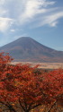 紅葉&富士山