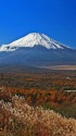 パノラマ台より秋の富士山