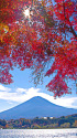富士山と紅葉