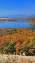 秋の山中湖