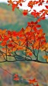 花貫渓谷にて
