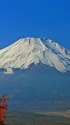 パノラマ台から富士山