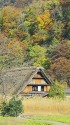 秋の白川郷