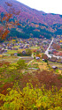 秋の白川郷