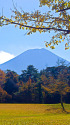 富士パインズパークからの富士山