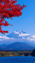 富士山と紅葉