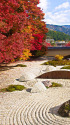 実相院 枯山水と紅葉