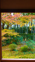 京の秋・大原 宝泉院の紅葉