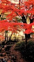 塚山公園にて