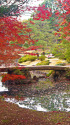 六義園 渡月橋と紅葉