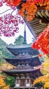西明寺五重塔