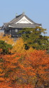 紅葉と天守閣
