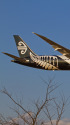 B787 ZK-NZF
