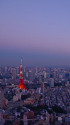 東京トワイライトビュー