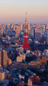 東京トワイライトビュー