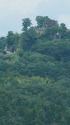 苗木城2