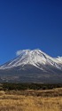 朝霧高原の富士山