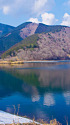 厳冬の田貫湖