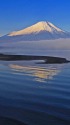 山中湖の富士