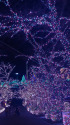よみうりランド Jewellumination