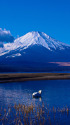 山中湖からの富士山