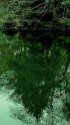 下の池の映り込み