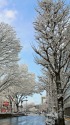雪の富山駅前通り