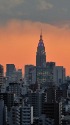 ドコモタワーを望む