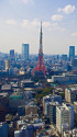 東京タワーと高層ビル群