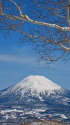 百名山後志羊蹄山