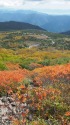 天狗原の紅葉