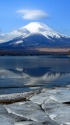 山中湖の春