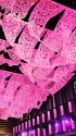 SAKURA TUNNEL