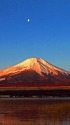 早春の富士山