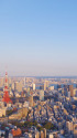 東京俯瞰