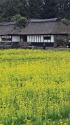 狩宿の春