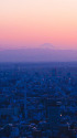 都心から夕景富士