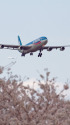 A340 F-OLOY