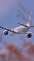 JALB787