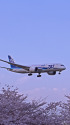 B787 JA808A