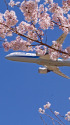 B787 JA875A