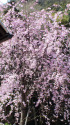 可児川下流域自然公園